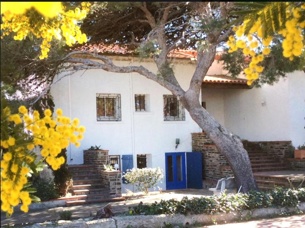 Villa Bleue - Les Pins 旺德尔港 外观 照片